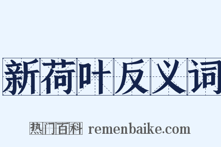 新荷叶反义词是什么意思的图片